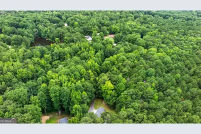 55 Bretts Point, Sharpsburg, GA 30277 - Photo 39