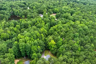 55 Bretts Point, Sharpsburg, GA 30277 - Photo 39