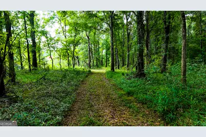 0 State Route 26 Road, Montezuma, GA 31063 - Photo 31