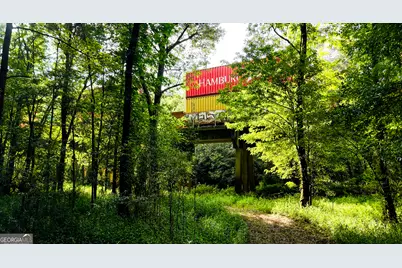 0 State Route 26 Road, Montezuma, GA 31063 - Photo 13
