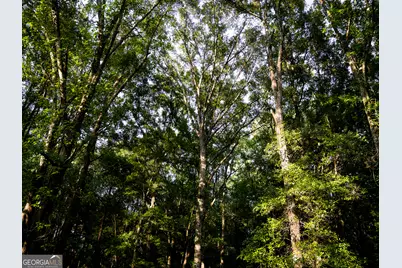 0 State Route 26 Road, Montezuma, GA 31063 - Photo 35