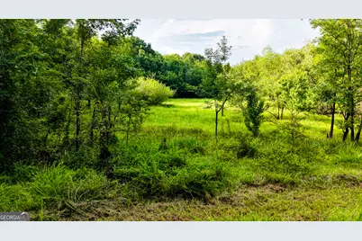0 State Route 26 Road, Montezuma, GA 31063 - Photo 23