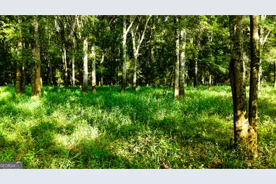 0 State Route 26 Road, Montezuma, GA 31063 - Photo 19