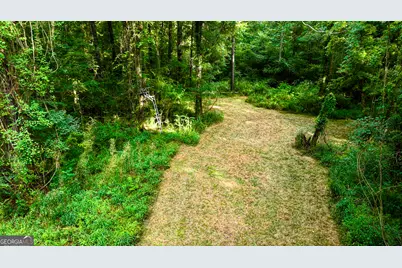 0 State Route 26 Road, Montezuma, GA 31063 - Photo 15