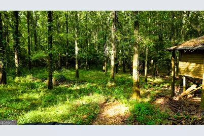 0 State Route 26 Road, Montezuma, GA 31063 - Photo 21
