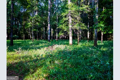 0 State Route 26 Road, Montezuma, GA 31063 - Photo 33