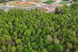 0 Burruss Mill Rd, Cumming, GA 30041 - Photo 47