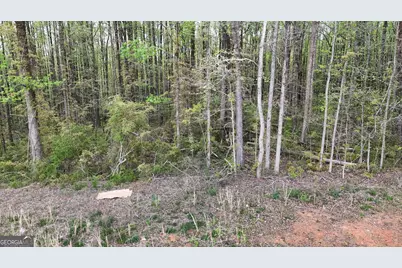 0 Burruss Mill Road, Cumming, GA 30041 - Photo 11