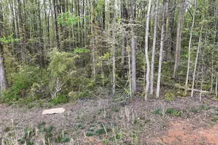 0 Burruss Mill Rd, Cumming, GA 30041 - Photo 11