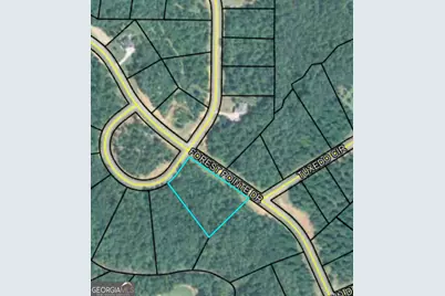 207 Forest Pointe Drive, Forsyth, GA 31029 - Photo 1