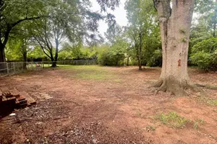 205 Lovelace Way, Washington, GA 30673 - Photo 3