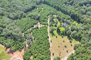 153 Lot 1 and 2 Highland Circle, Flovilla, GA 30216 - Photo 3