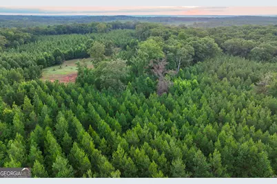 153 Lot 1 and 2 Highland Circle, Flovilla, GA 30216 - Photo 49