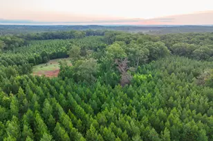 153 Lot 1 and 2 Highland Circle, Flovilla, GA 30216 - Photo 49