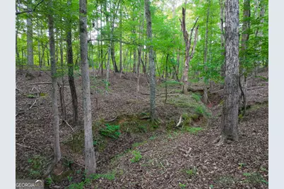 153 Lot 1 and 2 Highland Circle, Flovilla, GA 30216 - Photo 51
