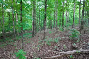 153 Lot 1 and 2 Highland Circle, Flovilla, GA 30216 - Photo 57