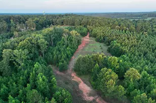 153 Lot 1 and 2 Highland Circle, Flovilla, GA 30216 - Photo 47