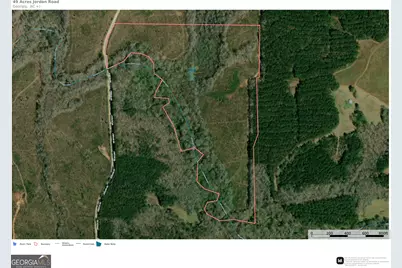 49.2 Acres Jordon Road, Waverly Hall, GA 31831 - Photo 15