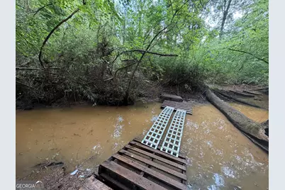 49.2 Acres Jordon Road, Waverly Hall, GA 31831 - Photo 5