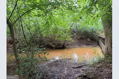 49.2 Acres Jordon Road, Waverly Hall, GA 31831 - Photo 3
