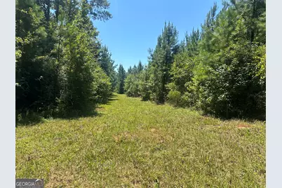 49.2 Acres Jordon Road, Waverly Hall, GA 31831 - Photo 19