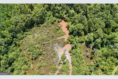 49.2 Acres Jordon Road, Waverly Hall, GA 31831 - Photo 33