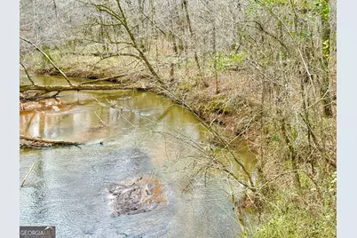 49.2 Acres Jordon Road, Waverly Hall, GA 31831 - Photo 11