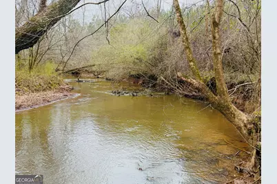 49.2 Acres Jordon Road, Waverly Hall, GA 31831 - Photo 7
