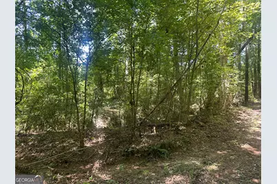 49.2 Acres Jordon Road, Waverly Hall, GA 31831 - Photo 27