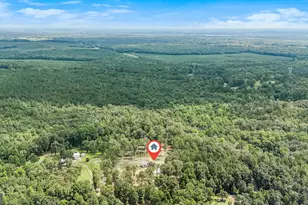 2529 Richardson Mill Rd, Fort Valley, GA 31030 - Photo 5