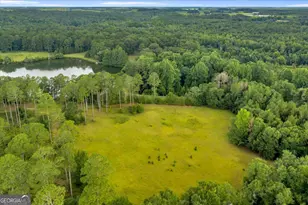1060 Cooks Mill Rd, Oglethorpe, GA 31068 - Photo 77