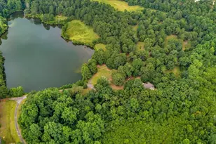 1060 Cooks Mill Rd, Oglethorpe, GA 31068 - Photo 91