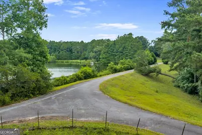 1060 Cooks Mill Road, Oglethorpe, GA 31068 - Photo 75