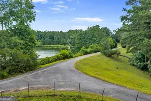 1060 Cooks Mill Rd, Oglethorpe, GA 31068 - Photo 75