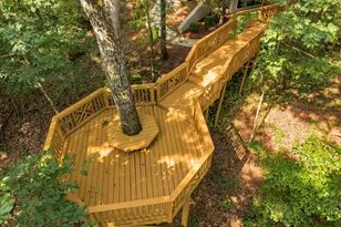 1060 Cooks Mill Rd, Oglethorpe, GA 31068 - Photo 63