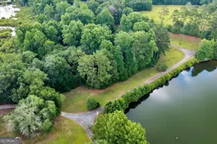 1060 Cooks Mill Rd, Oglethorpe, GA 31068 - Photo 81