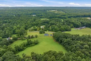 828 Garner Rd, Cornelia, GA 30531 - Photo 73