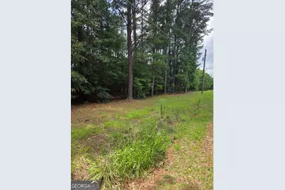 0 Fairway Lane, Hawkinsville, GA 31036 - Photo 7