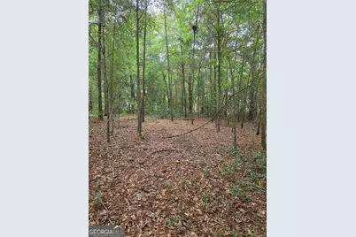 0 Fairway Lane, Hawkinsville, GA 31036 - Photo 3