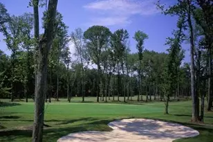 75 Fairway Dr, Newnan, GA 30265 - Photo 63