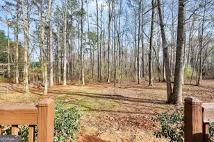 145 Old Hwy 85, Senoia, GA 30276 - Photo 35