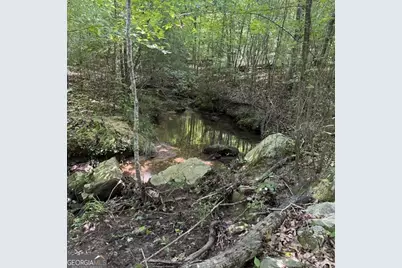 80.61 Acres Howard Neal Road, Union City, GA 31812 - Photo 5
