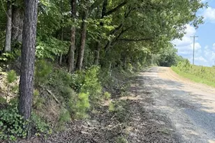 80 61 Acres Howard Neal Rd, Union City, GA 31812 - Photo 1