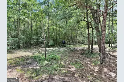 1 US Highway 80 W, Roberta, GA 31078 - Photo 5