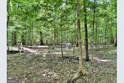 1 US Highway 80 W, Roberta, GA 31078 - Photo 19