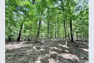 1 US Highway 80 W, Roberta, GA 31078 - Photo 25