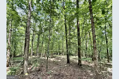 1 US Highway 80 W, Roberta, GA 31078 - Photo 23