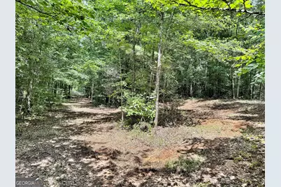 1 US Highway 80 W, Roberta, GA 31078 - Photo 11