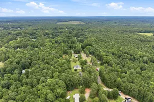 155 Skyview Rd, Senoia, GA 30276 - Photo 21