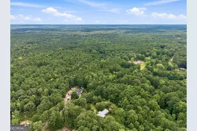 155 Skyview Road, Senoia, GA 30276 - Photo 15